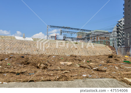 Riverbed 47554006