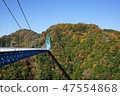 秋葉和龍神吊橋 47554868