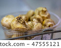Stale mushroom champignon on the store shelf. Close-up, spoiled food 47555121