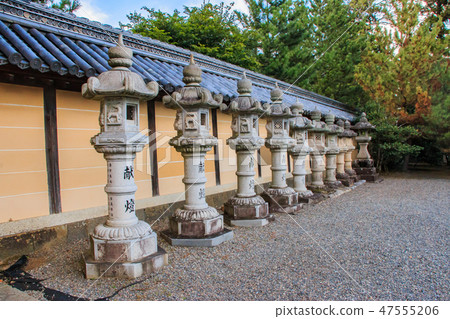 Nanomiya Taisha石燈籠 47555206