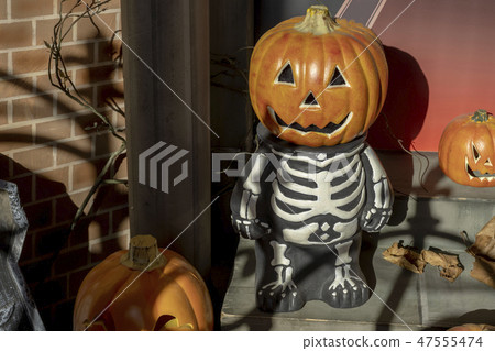 Halloween of pumpkin on the orange Lawn Halloween of pumpkin on the orange Lawn 47555474