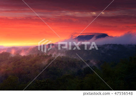 Mountain view of Nam Nao national park in Thailand 47556548