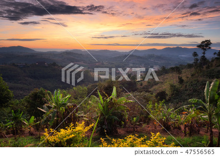 mountain view of Khao Kho hill in Phetchabun 47556565