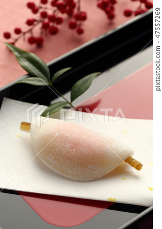 Petal Mochi Petal Mochi 47557269
