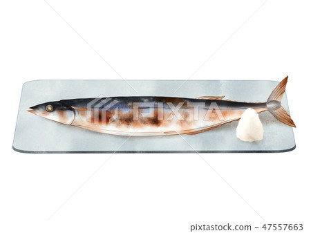 pike 47557663