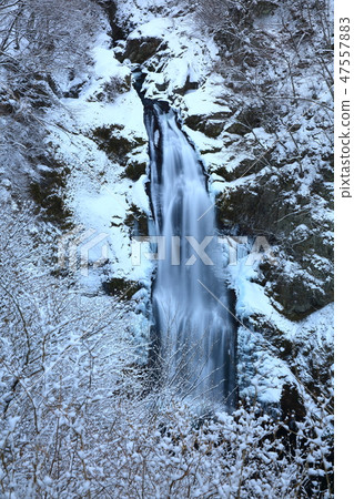 冬天的Akiho Otori 冬天的Akiho Otori 47557883