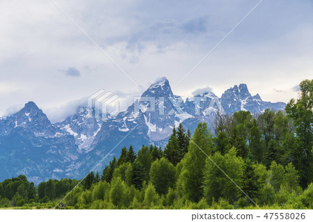 grand teton national park on the day. grand teton national park on the day. 47558026
