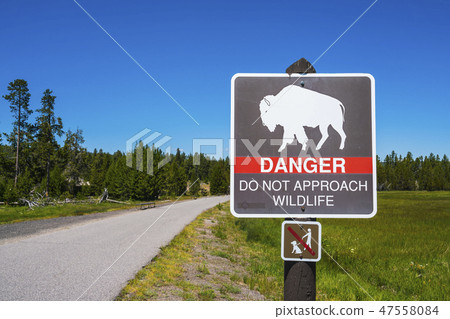 bison sign pole near by walkway. bison sign pole near by walkway. 47558084