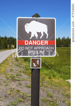 bison sign pole near by walkway. bison sign pole near by walkway. 47558085