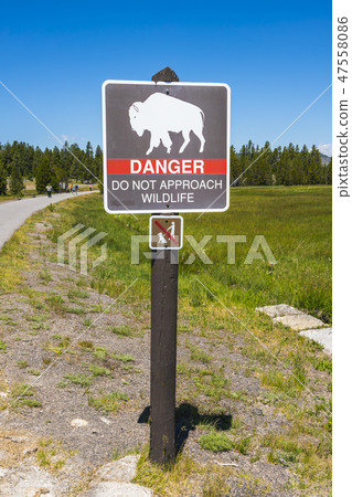 bison sign pole near by walkway. bison sign pole near by walkway. 47558086