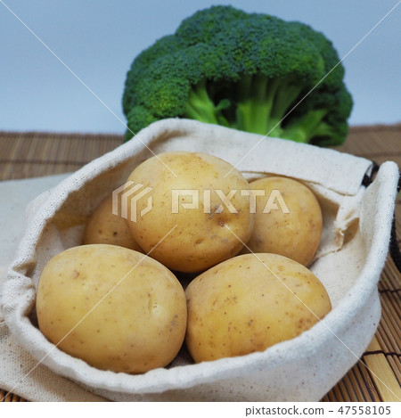 Organic materials (potato & broccoli: natural texture) 47558105