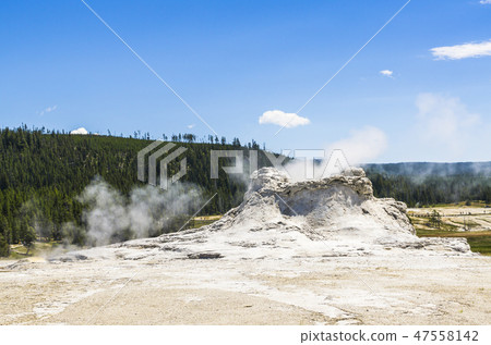 white castle gayser on the day. 47558142