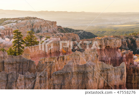 Bryce canyon national park,when sunrise,Utah,usa. Bryce canyon national park,when sunrise,Utah,usa. 47558276