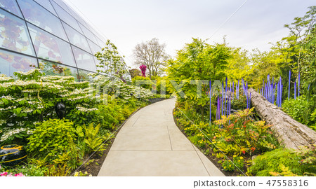 Chihuly garden and glass museum.seattle,wa,usa. 47558316