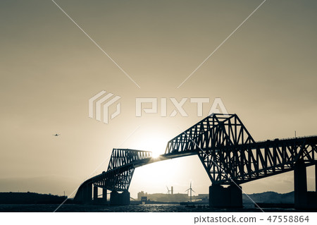 (Tokyo - Gulf Coast landscape) Tokyo Gate Bridge at dusk 6 47558864