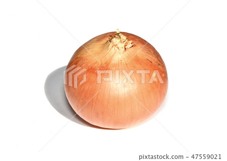 洋蔥綠(北見黃) 洋蔥綠(北見黃) 47559021