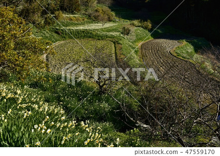 Boso Shaku Nami town collapsed Water Senso Town 47559170