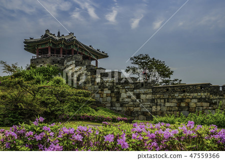 水原華城 水原華城 47559366