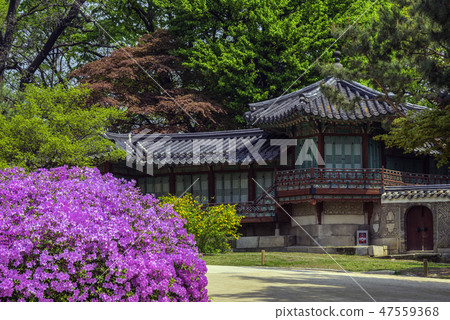 Changdeokgung Palace 47559368