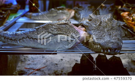 The concept of Asian cuisine. heads of little alligators, on the brazier 47559370