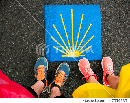 Sign shells for piligrims on Way of St James 47559385