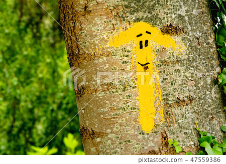 Traditional yellow arrow painted on the way Traditional yellow arrow painted on the way 47559386