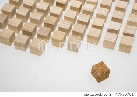 少數民族的形象 47559701