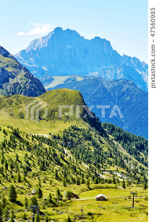 Giau Pass green forest at daylight 47560985