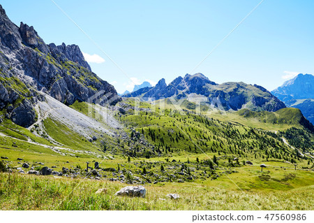 Giau Pass green forest at daylight Giau Pass green forest at daylight 47560986