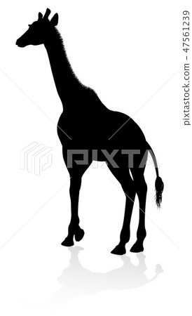 Giraffe Safari Animal Silhouette Giraffe Safari Animal Silhouette 47561239