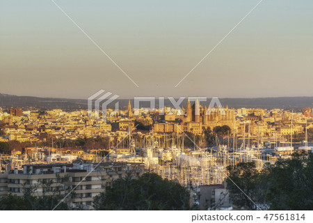 Panoramic view of Palma de Mallorca at the sunset 47561814