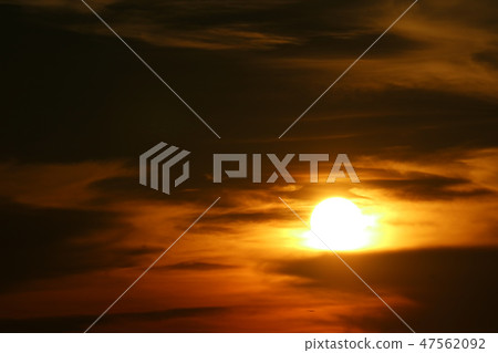 sun dawn on sea silhouette fly birds on sky line sun dawn on sea silhouette fly birds on sky line 47562092
