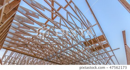 Looking up at new roof wood beams up pano 47562173