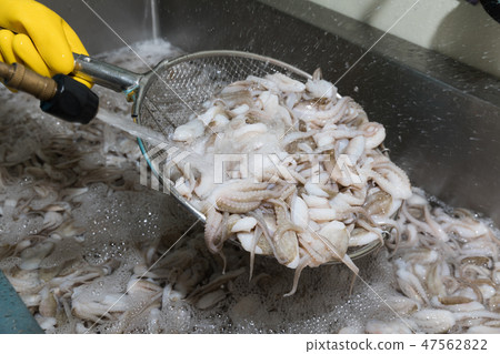 清潔jukumi 47562822