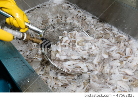 Cleaning the jukumi Cleaning the jukumi 47562823