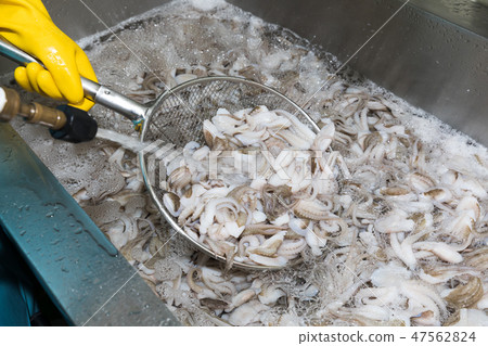 清潔jukumi 47562824