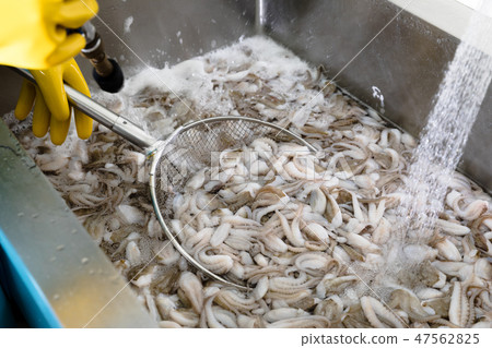 清潔jukumi 47562825