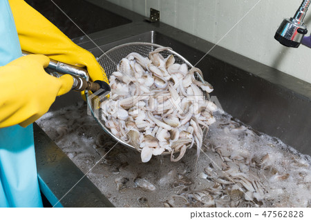 Cleaning the jukumi 47562828