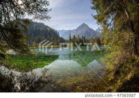Sommer landscape at the Schiederweiher in austria Sommer landscape at the Schiederweiher in austria 47563087