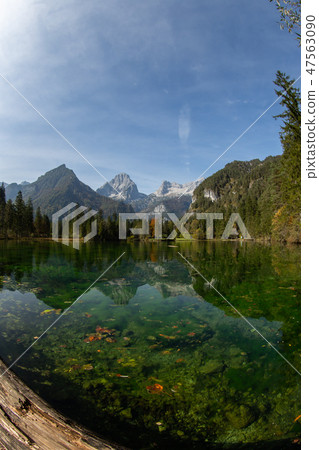 Sommer landscape at the Schiederweiher in austria 47563090