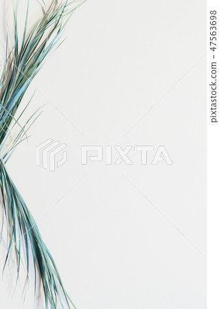 tropical plant composition palm leaves decor tropical plant composition palm leaves decor 47563698