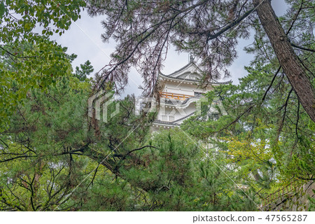 Castle in Fukuyama castle green 47565287