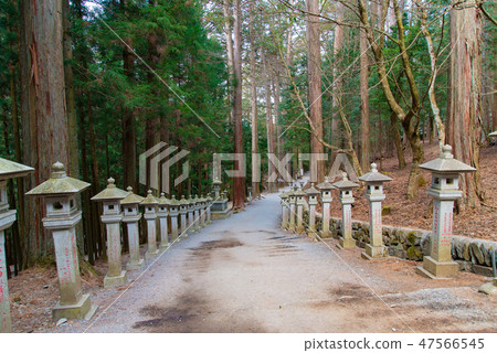 Sanmine Shrine 11 Sanmine Shrine 11 47566545