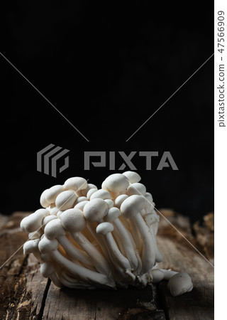 raw japanese bunapi-shimeji mushrooms 47566909