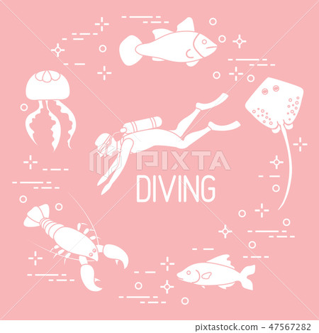 Diver, jellyfish, lobster, stingray, fish Diver, jellyfish, lobster, stingray, fish 47567282