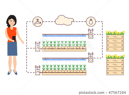 Woman controls the smart farm and agriculture Woman controls the smart farm and agriculture 47567284