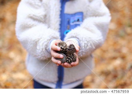 Child with pine cones 47567959