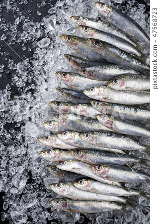Raw sardine on ice offered as top view on a black Raw sardine on ice offered as top view on a black 47568723