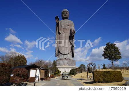 1月Ushiku大佛11 Amida佛 1月Ushiku大佛11 Amida佛 47569019