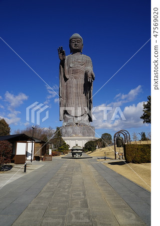 1月Ushiku大佛12 Amida佛 47569020